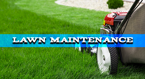 Lawn Maintenance